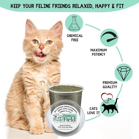 from The Field | Organically Grown Catnip Fine Ground Stalkless | 1.5 Oz Bag in Kuwait
