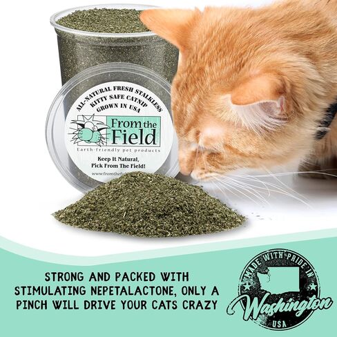from The Field | Organically Grown Catnip Fine Ground Stalkless | 1.5 Oz Bag in Kuwait