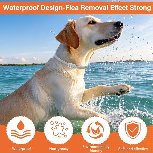4 Pack Flea and Tick Collar for Dogs - 25" Adjustable Collar Fits Dogs, Long-Lasting 24-Month Protection for Small, Medium, and Large Dog – Waterproof Flea Tick Prevention in Kuwait