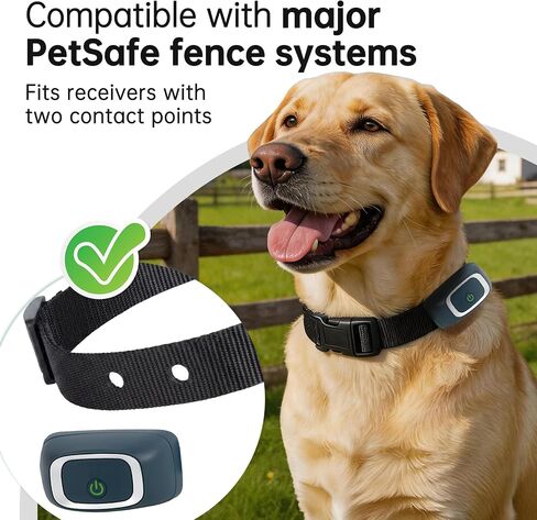 Replacement Collar Compatible with Petsafe If 100,Black in Saudi Arabia
