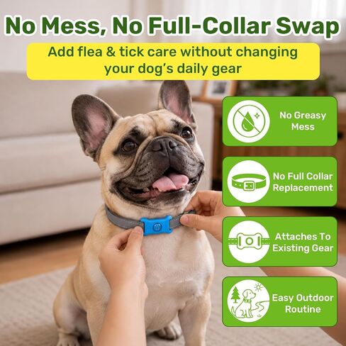 Puyrzoe Flea Collar for Dogs Pendant, 6 Refills Dog Flea Collar Pendant Tag in Saudi Arabia