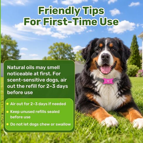 Puyrzoe Flea Collar for Dogs Pendant, 6 Refills Dog Flea Collar Pendant Tag in Saudi Arabia