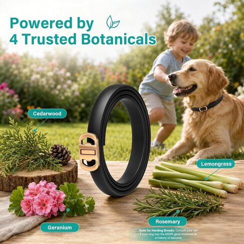 6 Packs Flea & Tick Collar for Dogs in Saudi Arabia