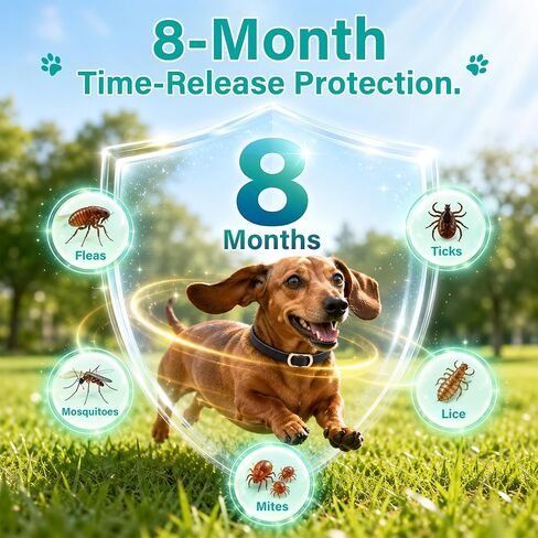6 Packs Flea & Tick Collar for Dogs in Saudi Arabia