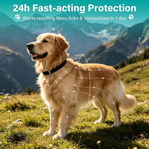 6 Packs Flea & Tick Collar for Dogs in Saudi Arabia