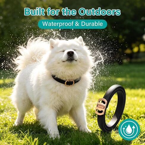 6 Packs Flea & Tick Collar for Dogs in Saudi Arabia