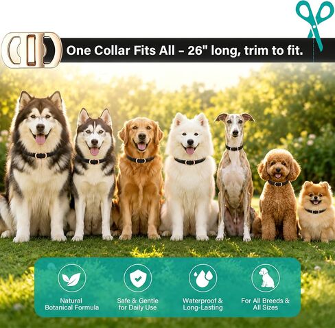 6 Packs Flea & Tick Collar for Dogs in Saudi Arabia