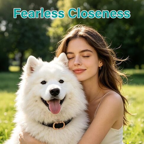 6 Packs Flea & Tick Collar for Dogs in Saudi Arabia
