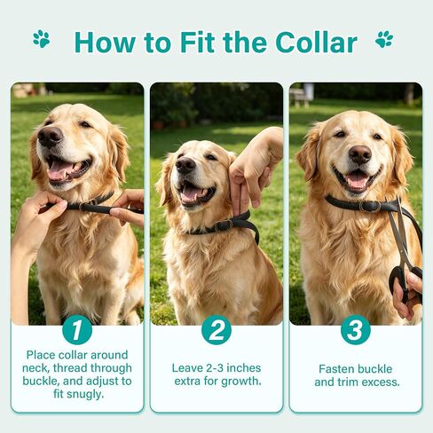 6 Packs Flea & Tick Collar for Dogs in Saudi Arabia