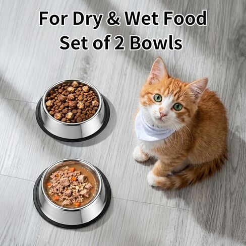 Fri4Free 2PCS 7oz Stainless Steel Non-Slip Small Cat Food Bowls in Kuwait