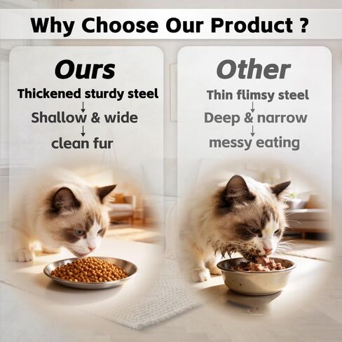 2-Pack Stainless Steel Basic Cat Bowls, Whisker-Friendly Thickened 6.7" Shallow Food Plates, 3M Adhesive Non-Slip Fixed Base, for Home/Outdoor Use with All Foods for Cats, Kittens & Small Pets in Kuwait