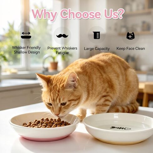 [4 Pack] Ceramic Cat Bowls, Cat Dishes with Non-Slip Silicone Bottom in Saudi Arabia