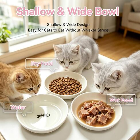 [4 Pack] Ceramic Cat Bowls, Cat Dishes with Non-Slip Silicone Bottom in Saudi Arabia