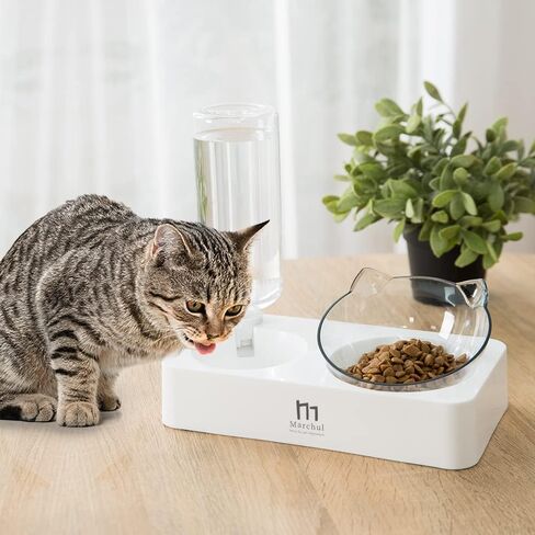 Marchul Double Elevated Dog Cat Bowl, Pets Water and Food Bowl Set, 15° Raised Tilted Dishes Indoor for Kitten, Puppies, Small or Medium Size Dogs Cats in Kuwait