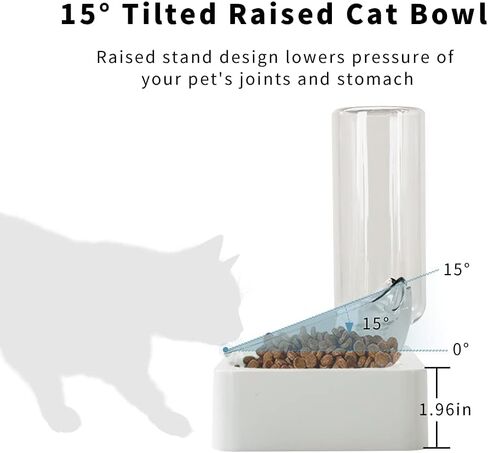 Marchul Double Elevated Dog Cat Bowl, Pets Water and Food Bowl Set, 15° Raised Tilted Dishes Indoor for Kitten, Puppies, Small or Medium Size Dogs Cats in Kuwait