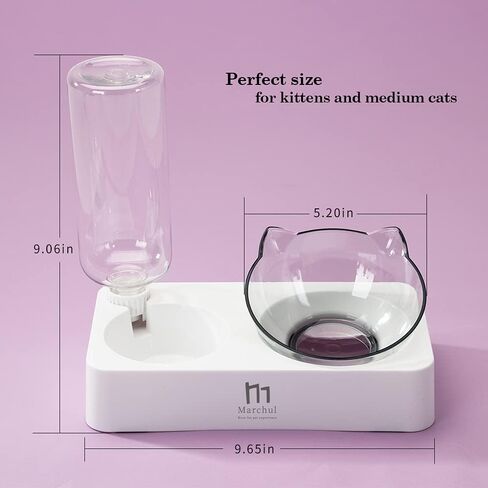 Marchul Double Elevated Dog Cat Bowl, Pets Water and Food Bowl Set, 15° Raised Tilted Dishes Indoor for Kitten, Puppies, Small or Medium Size Dogs Cats in Kuwait