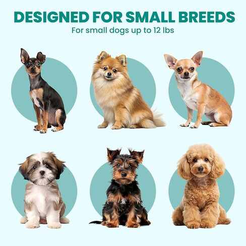 KindTail PAWD Collapsible Puppy and Dog Crate - Stylish Pet Kennel - Safe Indoor Kennel- Lightweight, Compact & Portable for Travel - Small White in Saudi Arabia
