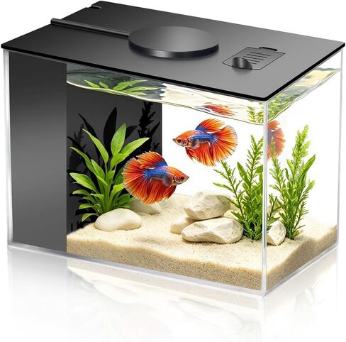 Small Fish Tank Kit 1 Gallon Aquarium with Three-Color Lighting Feeding Port Water Filter Pump for Betta Shrimp Guppy Goldfish in Saudi Arabia