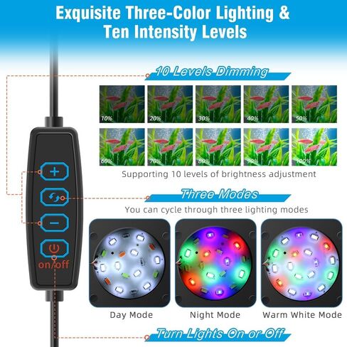 Small Fish Tank Kit 1 Gallon Aquarium with Three-Color Lighting Feeding Port Water Filter Pump for Betta Shrimp Guppy Goldfish in Saudi Arabia