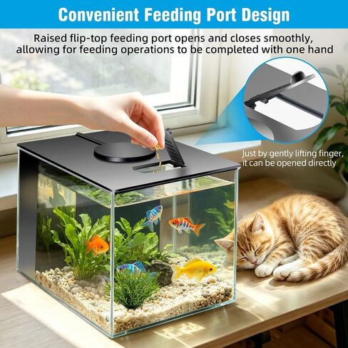Small Fish Tank Kit 1 Gallon Aquarium with Three-Color Lighting Feeding Port Water Filter Pump for Betta Shrimp Guppy Goldfish in Saudi Arabia