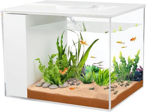 Betta Aquarium 1 Gallon Self Cleaning Small Fish Tank Starter Kit in Kuwait