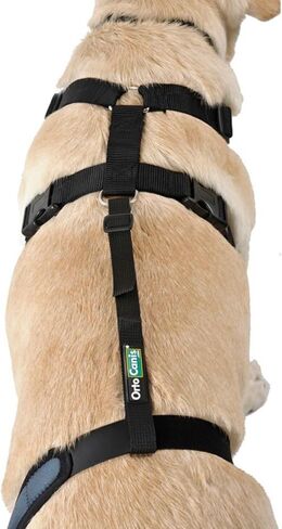 Ortocanis - Lumbar Connection Belt for Knee Brace. Belt with Harness. Size L in Saudi Arabia