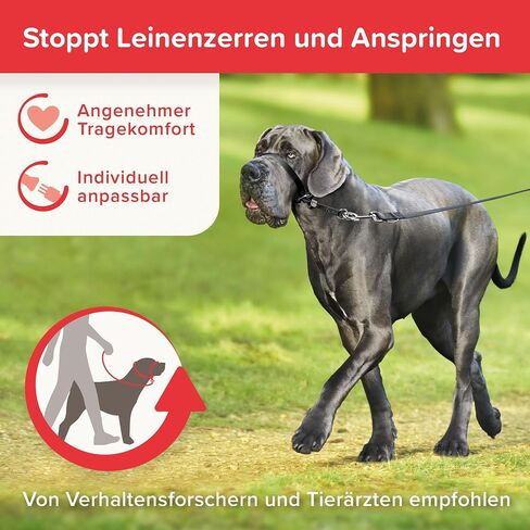 Beaphar Gentle Leader L Black 1 Piece - Dog Head Collar - Fabric - Kind and Effective Training, no Pulling or Choking - Large Breeds - Black - L in Saudi Arabia