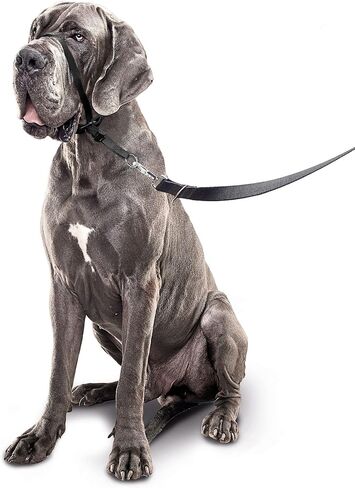 Beaphar Gentle Leader L Black 1 Piece - Dog Head Collar - Fabric - Kind and Effective Training, no Pulling or Choking - Large Breeds - Black - L in Saudi Arabia
