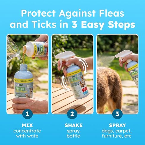 BugMD Flea and Tick Spray for Dogs - Kills & Repels on Contact in Saudi Arabia