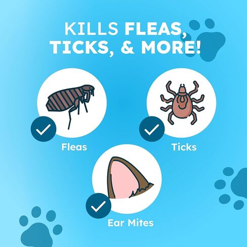 BugMD Flea and Tick Spray for Dogs - Kills & Repels on Contact in Saudi Arabia