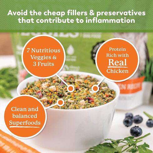 Dr. Harvey's Chicken & Garden Veggies Dog Food, Grain-Free (5 lb) in Kuwait
