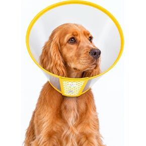 Adjustable Dog Cone Collar to Stop Licking After Surgery & During Recovery in Kuwait