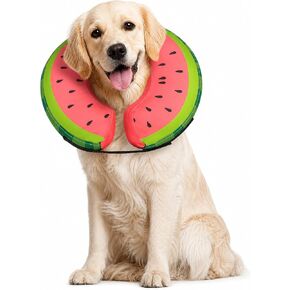 MIDOG Inflatable Dog Cone After Surgery, Donut Collar for X-Large Dogs, XL in Saudi Arabia