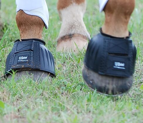 CASHEL Rubber Bell Horse Boots, Black, X-Large in Kuwait