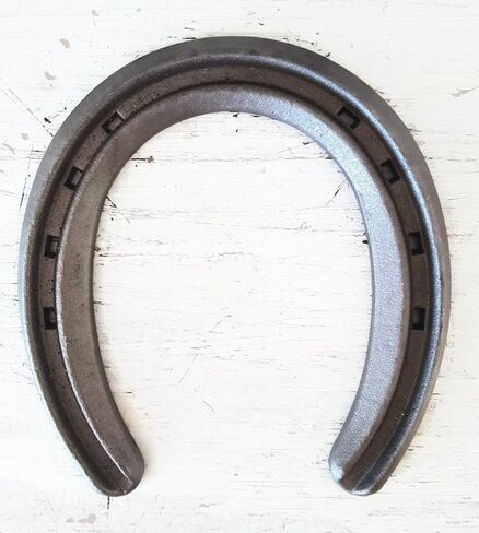 Steel Horseshoes Set for Horses, Crafts, Decorations and Backyard Games - Lite Rim Size 00 - Sand Blasted 40 Shoes in Saudi Arabia