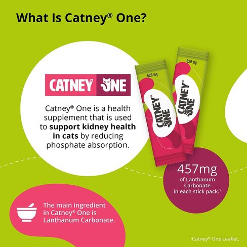 Catney® One, 520mg. 30ct in Saudi Arabia