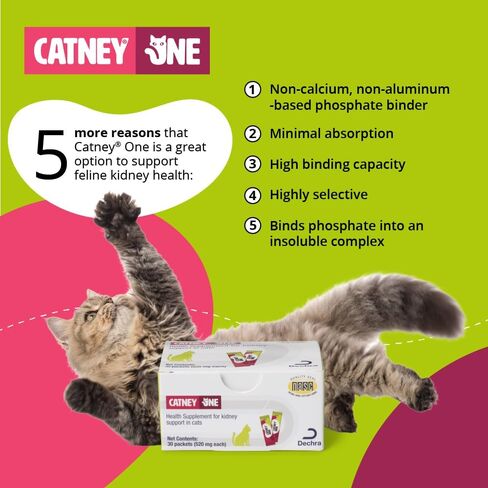 Catney® One, 520mg. 30ct in Saudi Arabia
