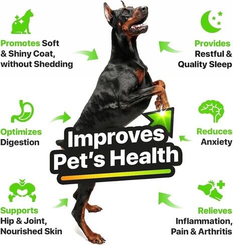 Hemp & Salmon Oil for Dogs, Cats - Pet Skin & Coat Allergy Relief Drops in Kuwait