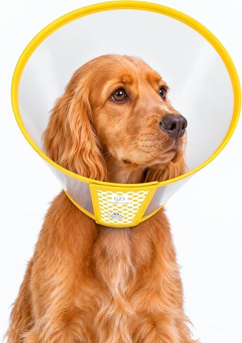 Adjustable Dog Cone Collar to Stop Licking After Surgery & During Recovery in Kuwait