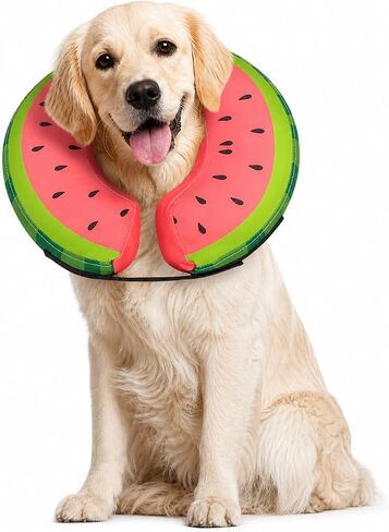 MIDOG Inflatable Dog Cone After Surgery, Donut Collar for X-Large Dogs, XL in Saudi Arabia