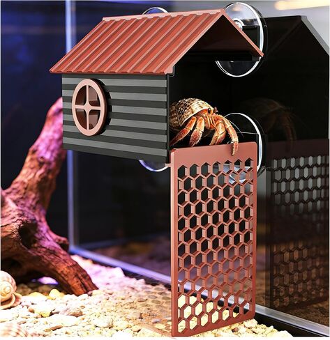 Hermit Crab Accessories | Hermit Crab Climbing Toys with Climbing Wall | Multi-Functional Hermit Crab Hideaway & Foraging Cave with Ladder | Hermit Crab Cage Decorations in Kuwait