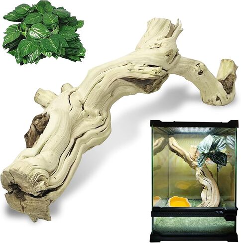 VCEPJH Snake Climbing Branch, 2Pcs Reptile Wood Natural Cork Log Tank Accessories Tree Trunk for Chameleon Bearded Dragon Gecko Snake Frog Spider in Saudi Arabia