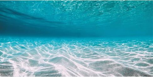 48x24 in Undersea Vinyl Aquarium Backdrop Ocean Floor Fish Tank Background in Saudi Arabia