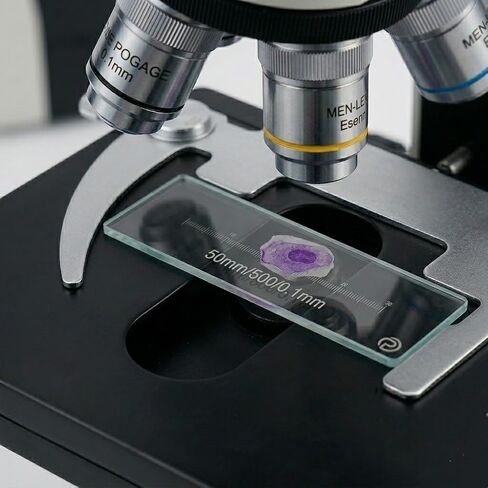 50mm 0.1mm Scale Division Slide 1-Axis Stage Micrometer for Microscope Measurement Calibration in Saudi Arabia