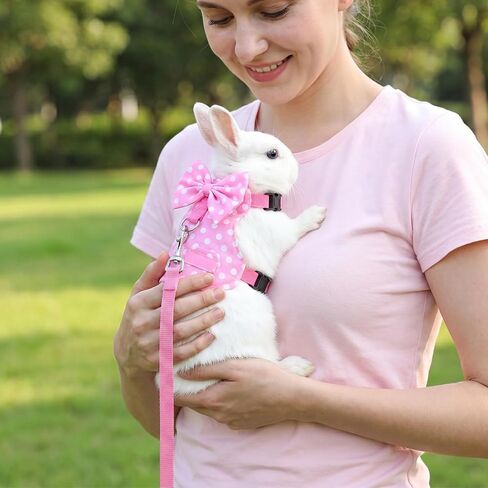 Bunny Harness and Leash Set, Adjustable Rabbit Harness with Buckle in Kuwait