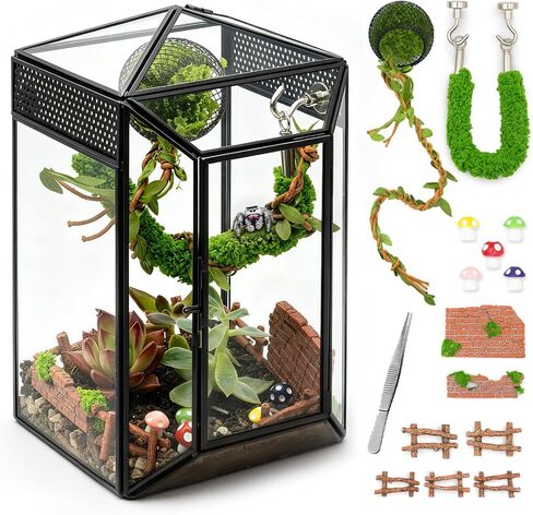 Glass Jumping Spider Enclosure Kit, 5.1 x 4.1 x 7.6 in Gothic Tank in Kuwait