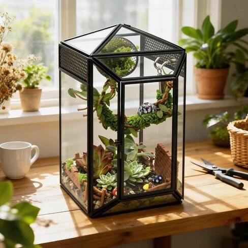 Glass Jumping Spider Enclosure Kit, 5.1 x 4.1 x 7.6 in Gothic Tank in Kuwait