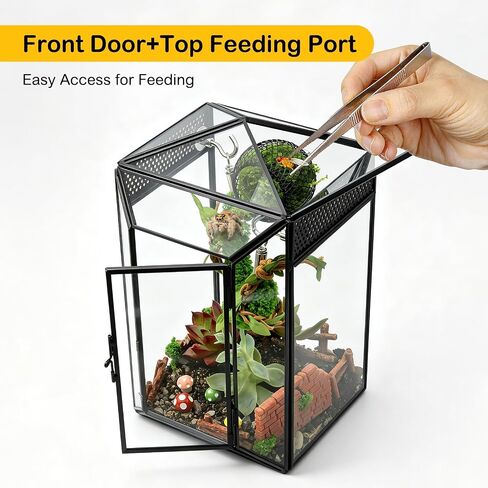 Glass Jumping Spider Enclosure Kit, 5.1 x 4.1 x 7.6 in Gothic Tank in Kuwait