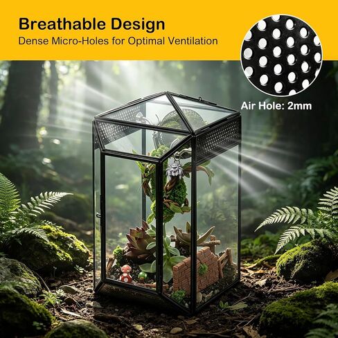 Glass Jumping Spider Enclosure Kit, 5.1 x 4.1 x 7.6 in Gothic Tank in Kuwait