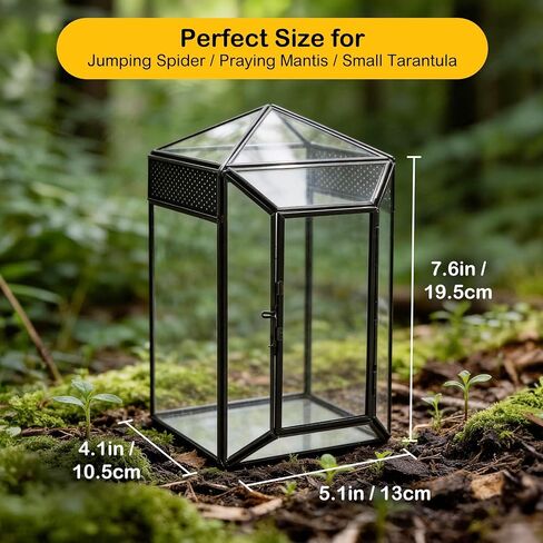 Glass Jumping Spider Enclosure Kit, 5.1 x 4.1 x 7.6 in Gothic Tank in Kuwait